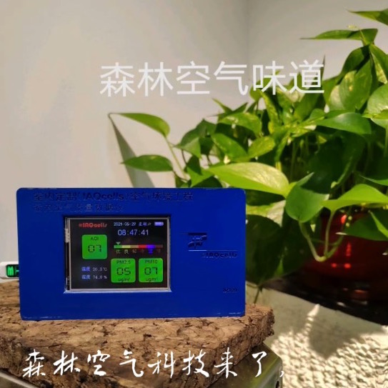 項目數(shù)據(jù)
