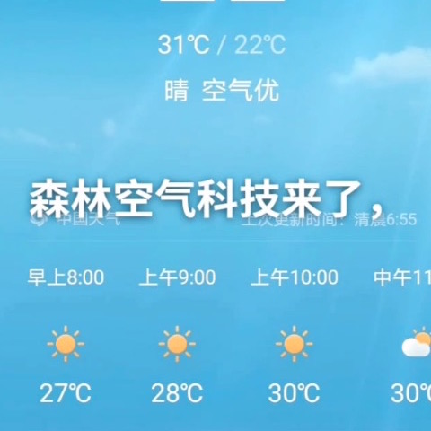 項目數(shù)據(jù)